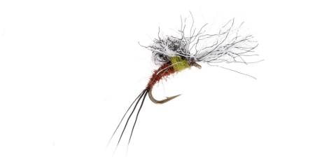 Mole Fly 2.0 Timmy EMERGER BWO